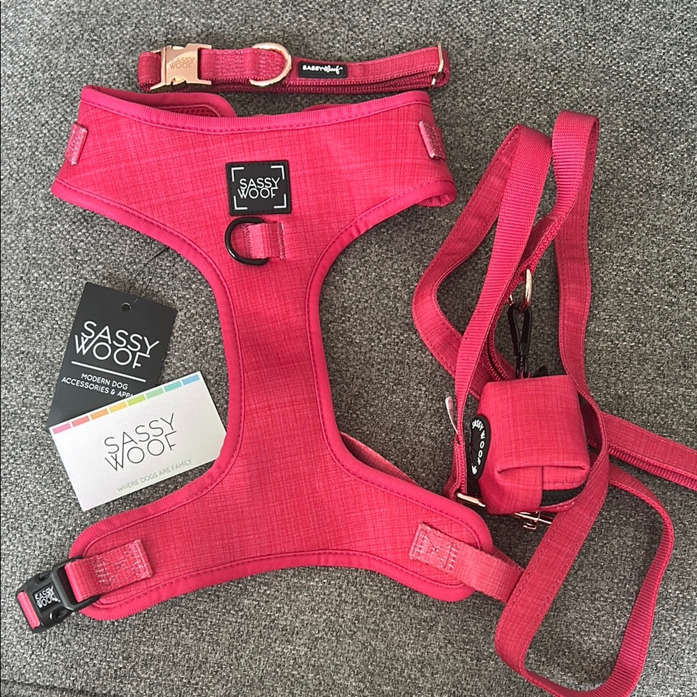 Sassy Woof Red Dog Walking Set - brand new never worn!